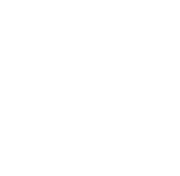 Vector@2x